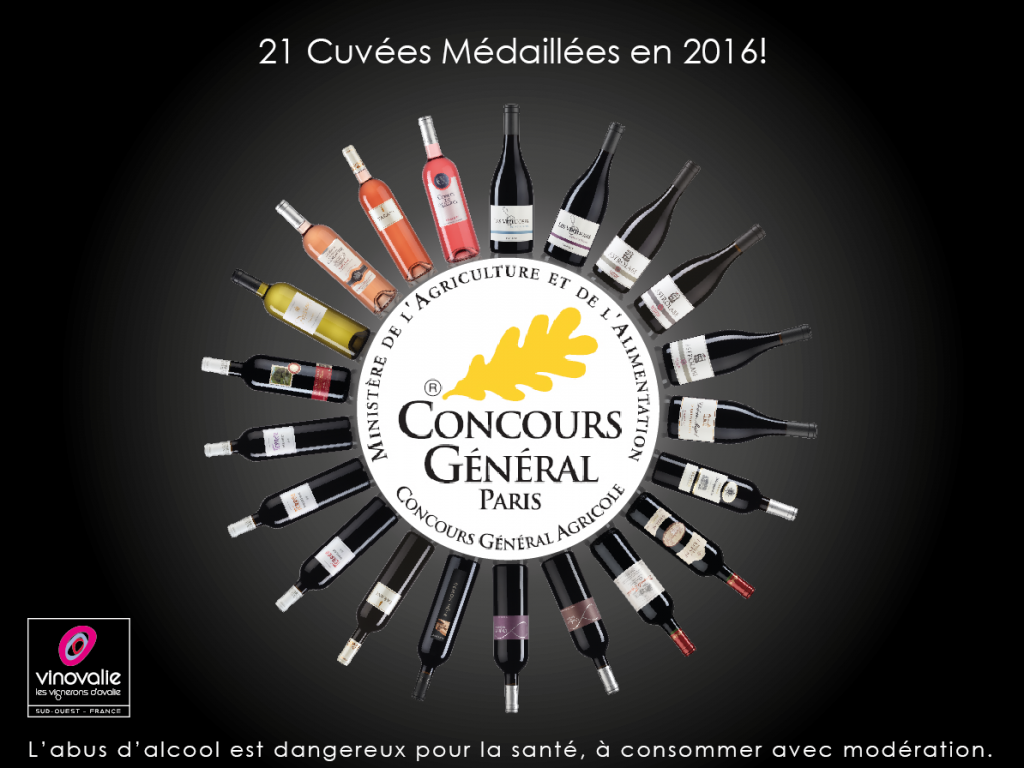 Vins & Vignobles 2