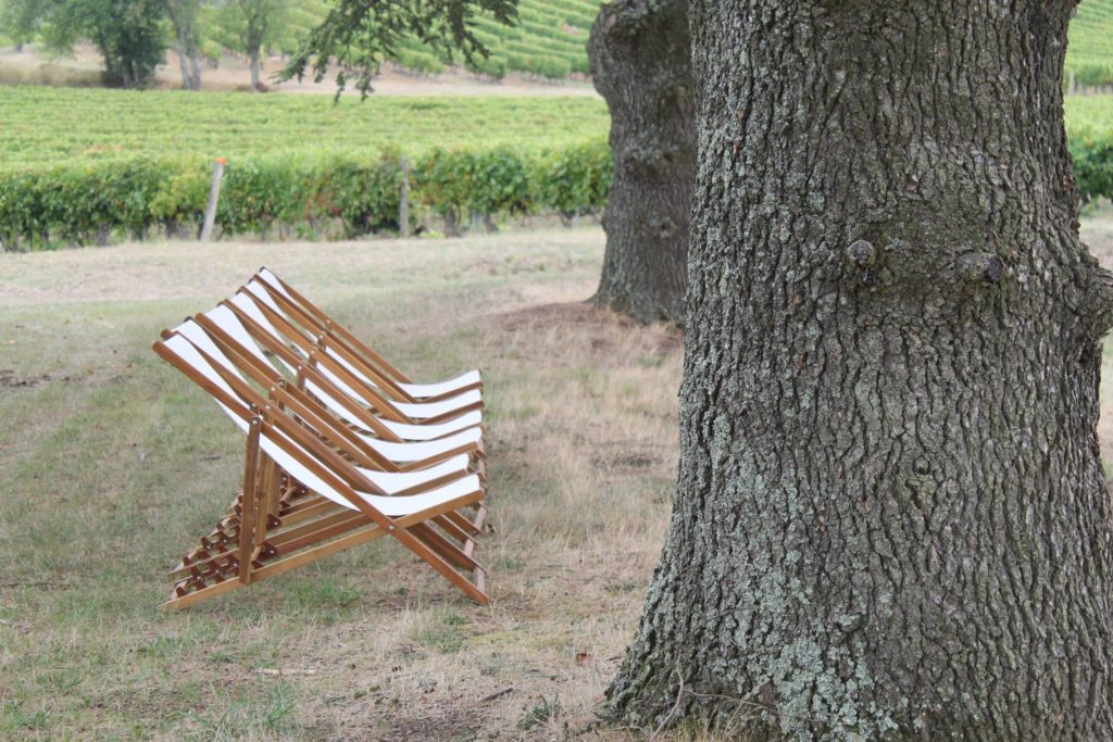 Safer Occitanie - déjeuner dans les vignes 